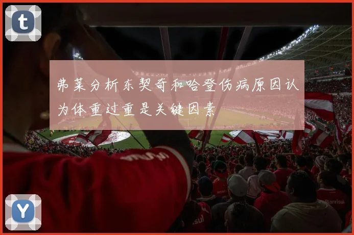 弗莱分析东契奇和哈登伤病原因认为体重过重是关键因素